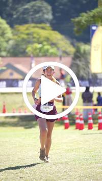 BIB:  <button type="button" onclick="openModal(26583381)" class="btn btn-primary btn-sm float-right" data-toggle="modal" data-target=".modal-high-quality">
                <i class="fa fa-download"></i> Download
                </button>